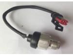 Crankshaft Position Sensor