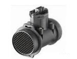 Mass Air Flow Sensor (MAF Sensor)