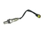 Oxygen Sensor（O<sub>2</sub> sensors）