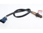 Oxygen Sensor（O<sub>2</sub> sensors）