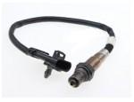 Oxygen Sensor（O<sub>2</sub> sensors）