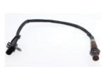 Oxygen Sensor（O<sub>2</sub> sensors）