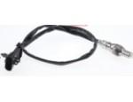 Oxygen Sensor（O<sub>2</sub> sensors）