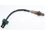 Oxygen Sensor（O<sub>2</sub> sensors）