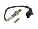 Oxygen Sensor（O<sub>2</sub> sensors）