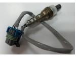 Oxygen Sensor（O<sub>2</sub> sensors）