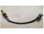 Oxygen Sensor（O<sub>2</sub> sensors）