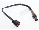 Oxygen Sensor（O<sub>2</sub> sensors）