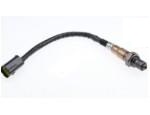 Oxygen Sensor（O<sub>2</sub> sensors）