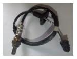 Oxygen Sensor（O<sub>2</sub> sensors）