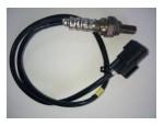 Oxygen Sensor（O<sub>2</sub> sensors）