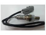Oxygen Sensor（O<sub>2</sub> sensors）