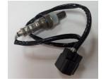 Oxygen Sensor（O<sub>2</sub> sensors）