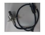 Oxygen Sensor（O<sub>2</sub> sensors）
