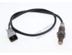 Oxygen Sensor（O<sub>2</sub> sensors）