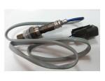Oxygen Sensor（O<sub>2</sub> sensors）