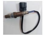 Oxygen Sensor（O<sub>2</sub> sensors）