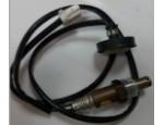 Oxygen Sensor（O<sub>2</sub> sensors）