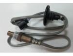 Oxygen Sensor（O<sub>2</sub> sensors）