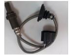 Oxygen Sensor（O<sub>2</sub> sensors）