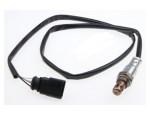 Oxygen Sensor（O<sub>2</sub> sensors）