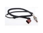Oxygen Sensor（O<sub>2</sub> sensors）