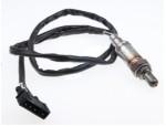 Oxygen Sensor（O<sub>2</sub> sensors）