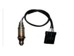 Oxygen Sensor（O<sub>2</sub> sensors）