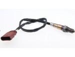 Oxygen Sensor（O<sub>2</sub> sensors）