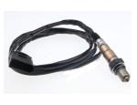 Oxygen Sensor（O<sub>2</sub> sensors）