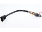 Oxygen Sensor（O<sub>2</sub> sensors）
