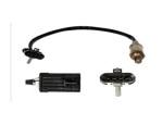 Oxygen Sensor（O<sub>2</sub> sensors）