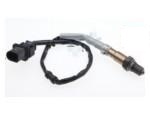 Oxygen Sensor（O<sub>2</sub> sensors）