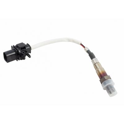 Oxygen Sensor（O<sub>2</sub> sensors）