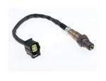 Oxygen Sensor（O<sub>2</sub> sensors）