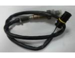 Oxygen Sensor（O<sub>2</sub> sensors）