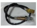 Oxygen Sensor（O<sub>2</sub> sensors）