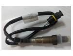 Oxygen Sensor（O<sub>2</sub> sensors）