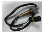 Oxygen Sensor（O<sub>2</sub> sensors）