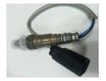 Oxygen Sensor（O<sub>2</sub> sensors）