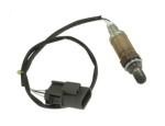 Oxygen Sensor（O<sub>2</sub> sensors）