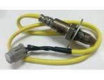 Oxygen Sensor（O<sub>2</sub> sensors）