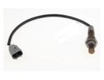 Oxygen Sensor（O<sub>2</sub> sensors）