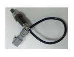 Oxygen Sensor（O<sub>2</sub> sensors）