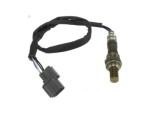 Oxygen Sensor（O<sub>2</sub> sensors）