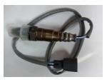 Oxygen Sensor（O<sub>2</sub> sensors）