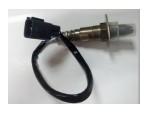 Oxygen Sensor（O<sub>2</sub> sensors）