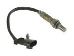 Oxygen Sensor（O<sub>2</sub> sensors）