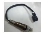 Oxygen Sensor（O<sub>2</sub> sensors）