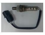 Oxygen Sensor（O<sub>2</sub> sensors）